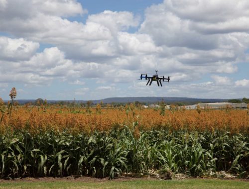 Crop Consulting Drones